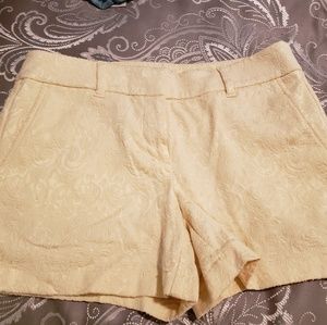 Loft shorts